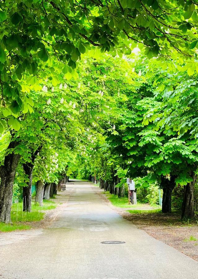 Aranygesztenye Apartmanhaz Balatonudvari Zewnętrze zdjęcie